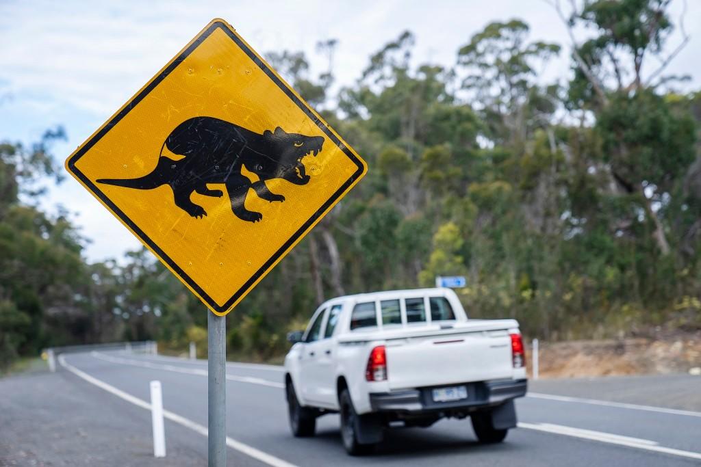 car features, carpool, the weird and wonderful road signs of australia and what they mean