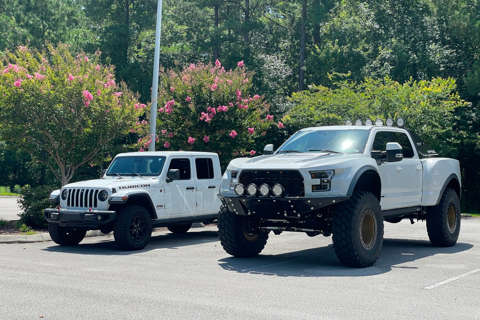 tuning, trucks, driven: megarexx megaraptor is a super duty-based monster for when regular raptors are too boring