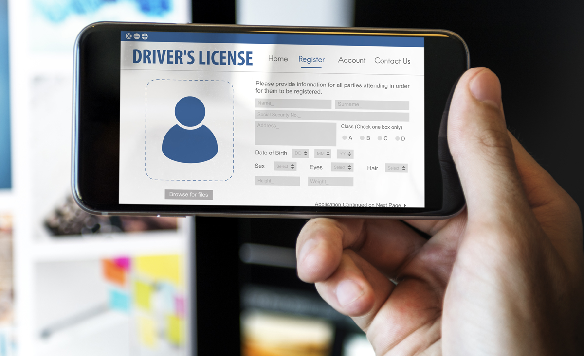 department of transport, driver's licence, south africa is getting electronic driver’s licences – dates and details