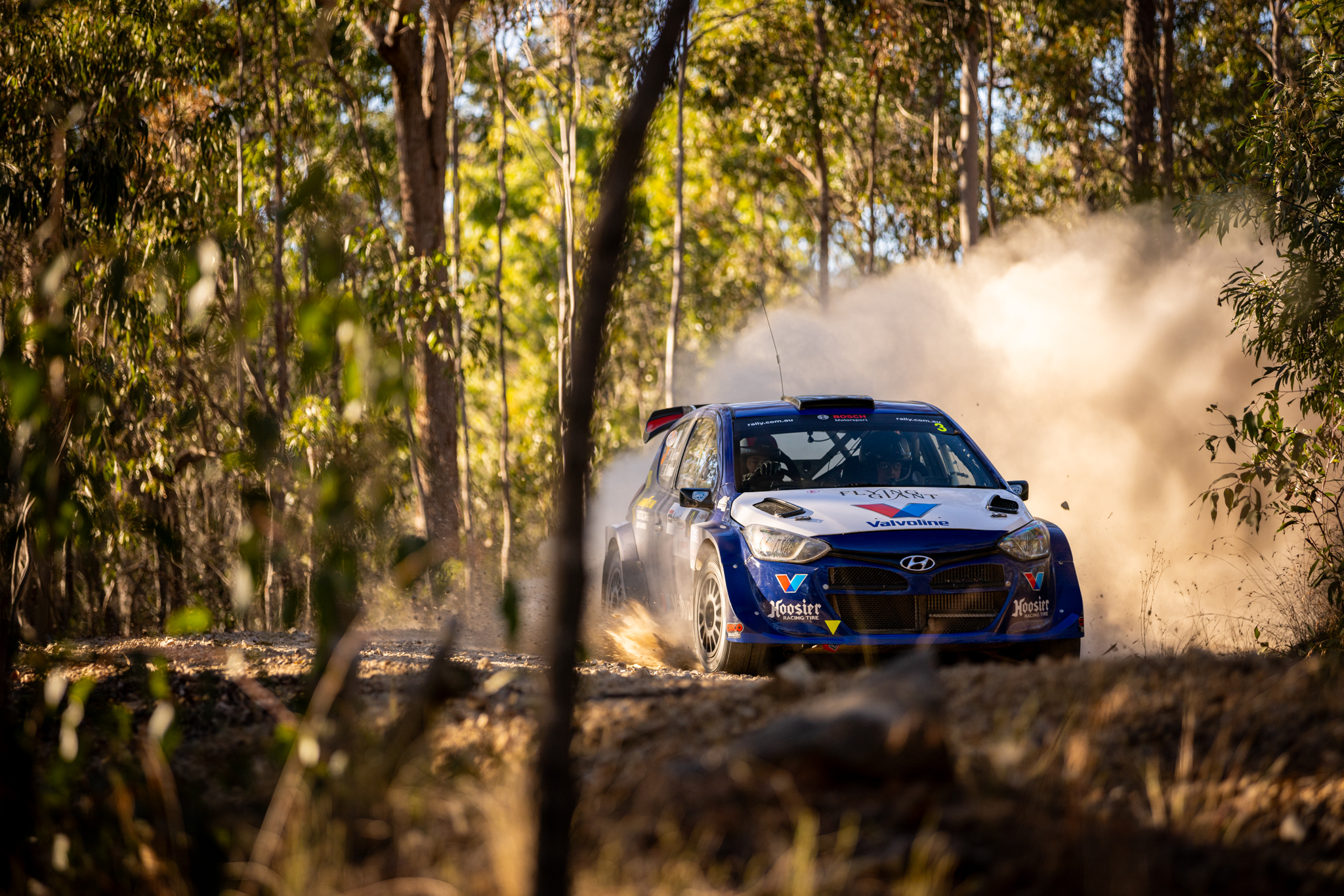 huge field lines up for gippsland rally