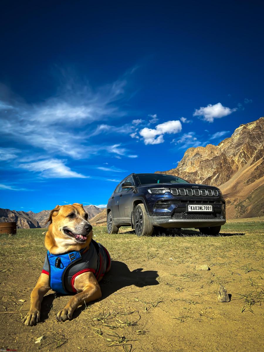 Me, my dog & my Jeep Compass did a road trip to explore the Himalayas, Indian, Member Content, road trip. Jeep Compass, Ladakh, travel, Travelogue