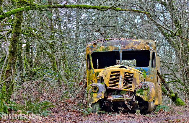 Abandoned School Bus, old car