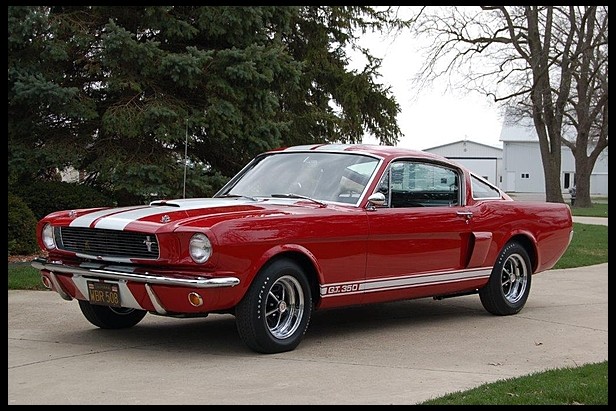 1966 Shelby GT350 Fastback | Muscle Car, 1960s Cars, muscle car, Shelby