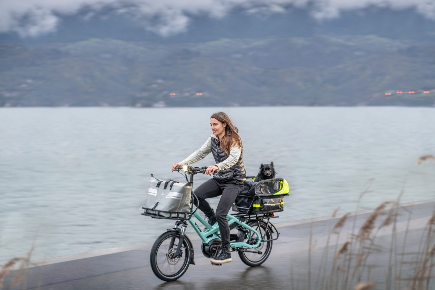 tern hsd gen 2 electric cargo bike: double the bike, half the size 