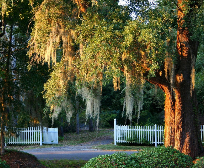 top best small towns in south carolina