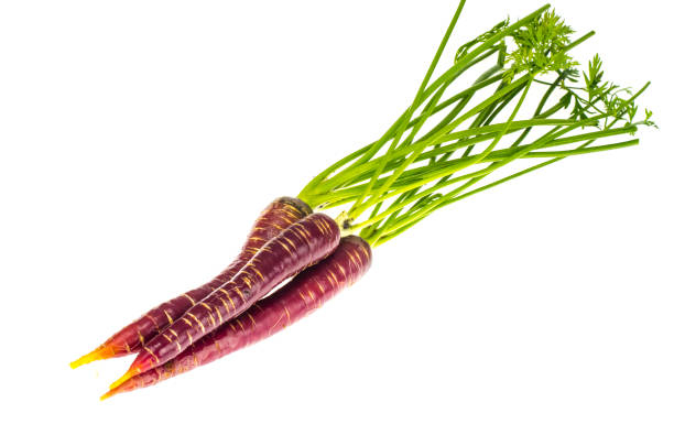 top health benefits of purple carrots