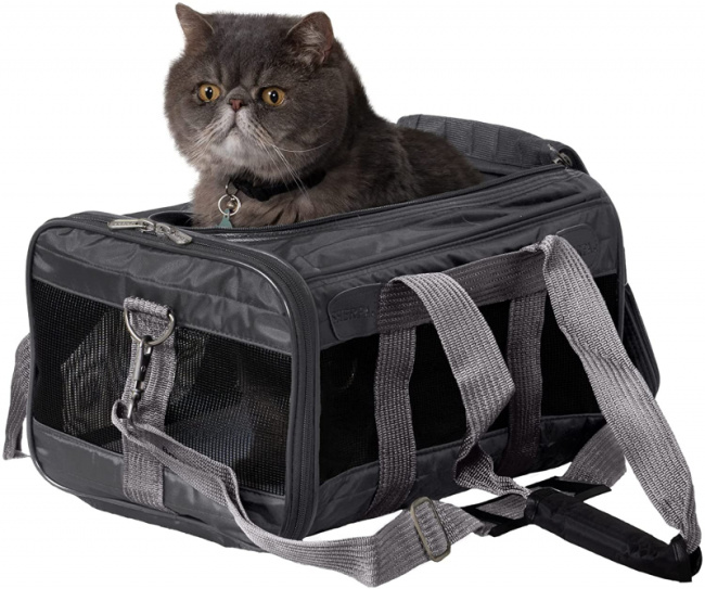 top best travel carriers for dogs and cats