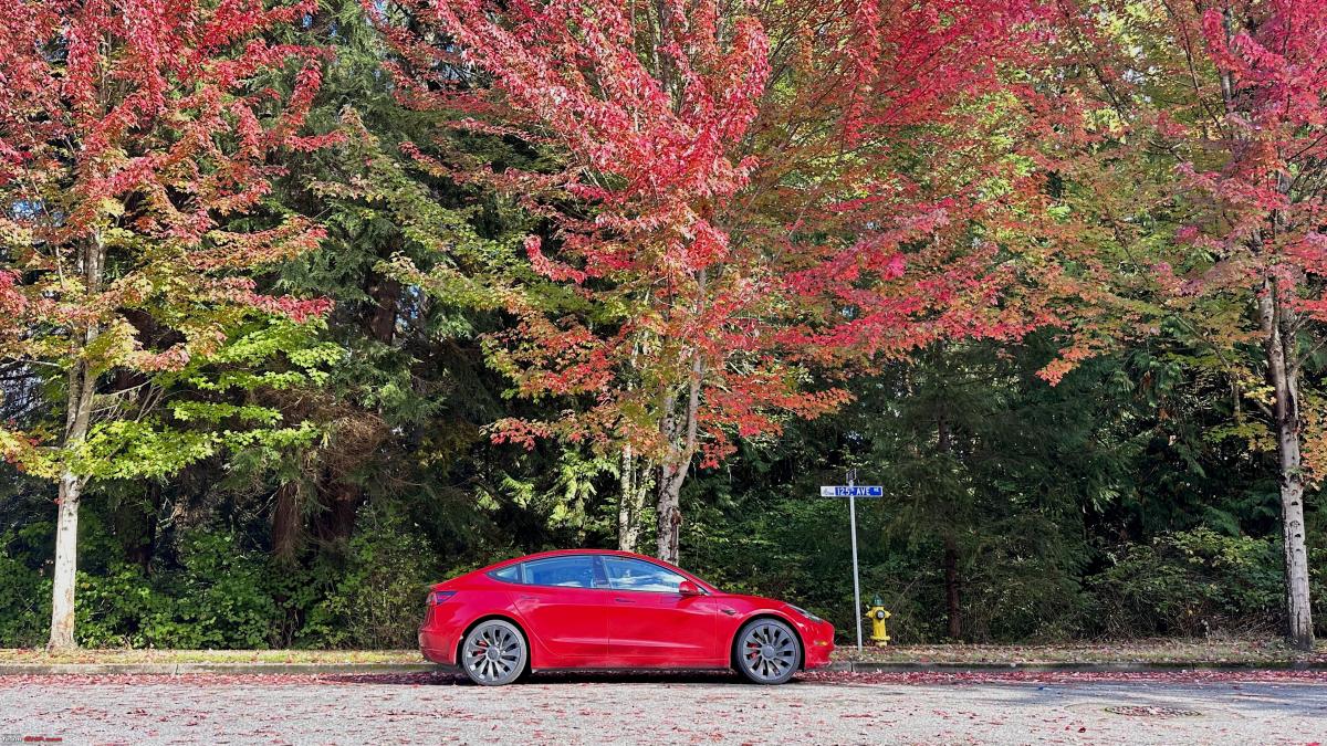 Tesla Model 3 Performance: 16,000 km report including driving cost, Indian, Member Content, Tesla Model 3 Performance, Tesla, Electric Vehicles, Car ownership