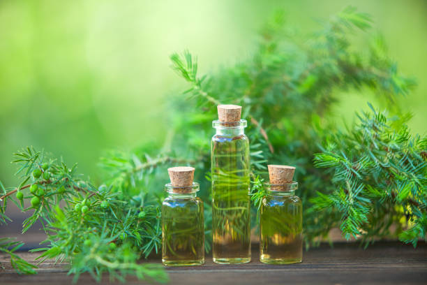 top best oils that help reduce the appearance of scars