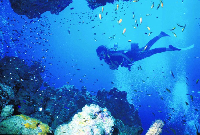top best diving sites in caribbean netherlands (netherlands)