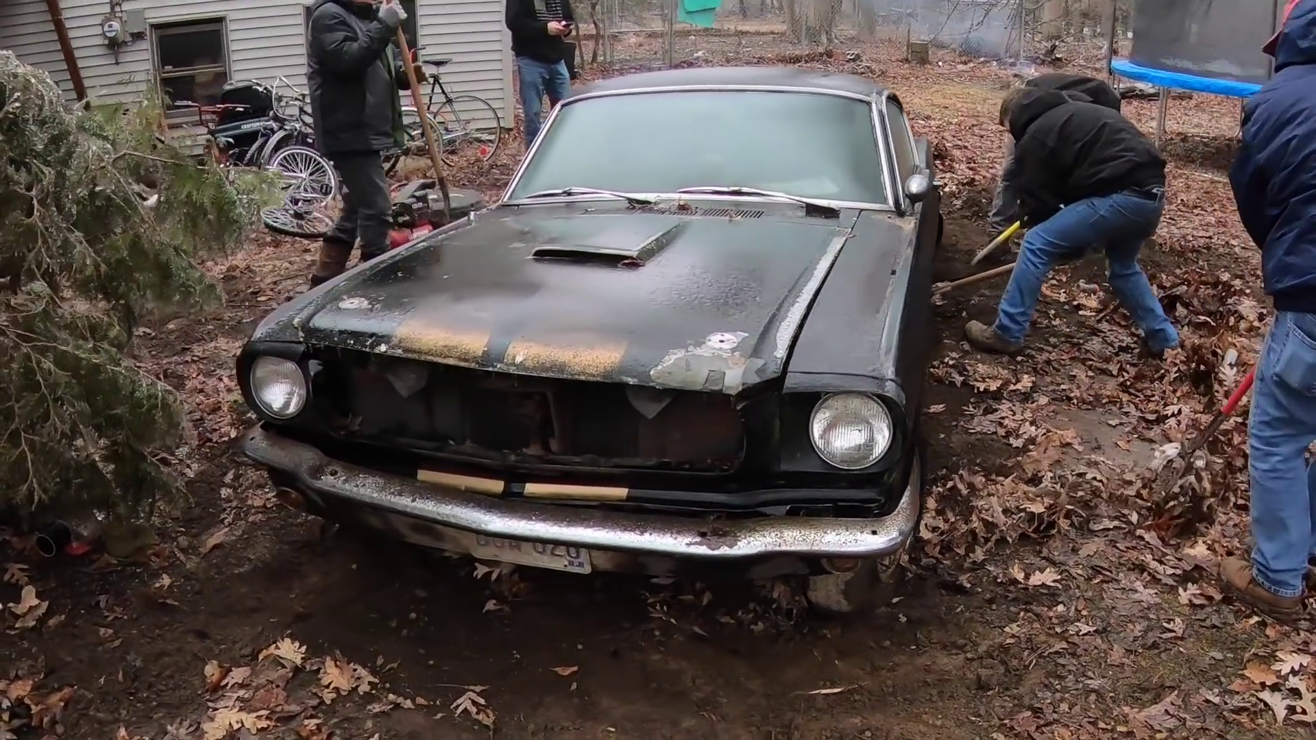 Shelby GT350H is a Rare, Rusty Gem Waiting for Restoration