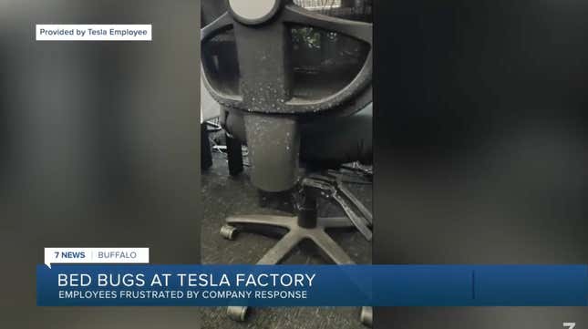 new york tesla gigafacotry infested with bed bugs and efforts to kill the bugs are making workers sick