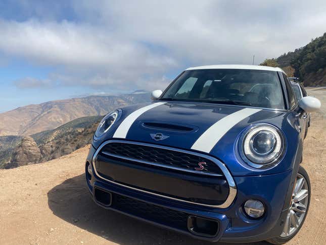 i might be the world’s biggest mini owner