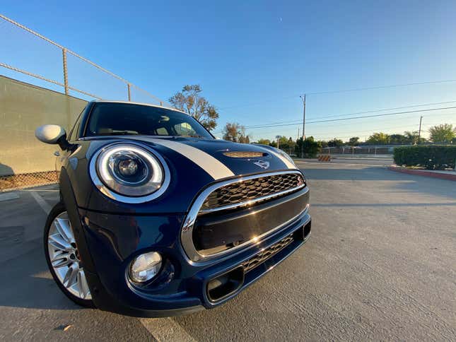 i might be the world’s biggest mini owner