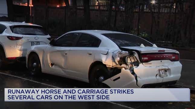Screenshot of a news report showing the damage to a white Dodge Charger that was hit by the fleeing horse